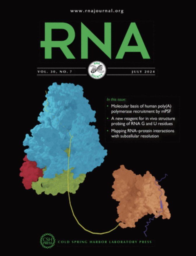 Our colocalization CLIP story is published in RNA!